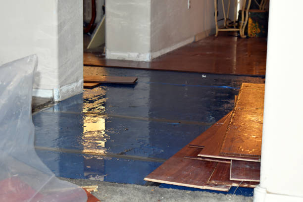 Professional Burst Pipe Cleanup technician working in Yadkinville, NC